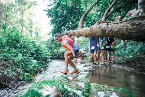 BIB: 
                            <button type="button" onclick="openModal(25444745)" class="btn btn-primary btn-sm float-right btn-popup" data-toggle="modal" data-target=".modal-high-quality">
                        <i class="fas fa-shopping-cart"></i> Add to Cart
                    </button>
                                            <button type="button" onclick="isThisMe(25444745, true)" class="btn btn-success btn-sm float-right btn-popup btn-isme hidden" data-toggle="tooltip" data-placement="bottom" title="นี่คือรูปของคุณใช่ไหม คลิกที่นี่เพื่อเอาเข้าอัลบั้ม">
                        <i class="fas fa-plus"></i> Add to album
                    </button>
                    <button type="button" onclick="isThisMe(25444745, false)" class="btn btn-warning btn-sm float-right btn-popup btn-isnotme hidden">
                        <i class="fas fa-ban"></i> Remove from album
                    </button>